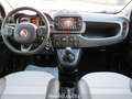 Fiat Panda 1.0 FireFly S&S Hybrid Cross Rosso - thumbnail 10