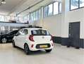 Kia Picanto 1.0 CVVT ComfortLine | 5P | Bluetooth | 1 Eig | Ai Blanc - thumbnail 6