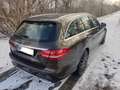 Mercedes-Benz C 250 d Kombi (T-Modell) 19"Reifen Braun - thumbnail 13