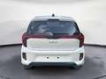 Kia Picanto 1.0 mpi Gpl 20th Anniversary Edition Bianco - thumbnail 13