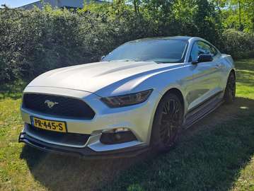 Mustang undefined