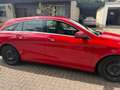 Mercedes-Benz CLA 200 CLA Shooting Brake 200 (CDI) d Roşu - thumbnail 3