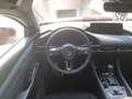 Mazda 3 e-SKYACTIV-X 186 FWD 6AT EXCLUSIVE Rouge - thumbnail 5