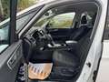 Ford Galaxy Titanium 2,0 TDI Aut. LED AHK SR&WR MWST Blanc - thumbnail 8