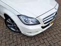 Mercedes-Benz CLS 350 Shooting Brake Blanco - thumbnail 6