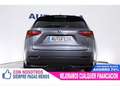 Lexus NX 300 300h Executive 4WD Gris - thumbnail 6