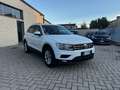 Volkswagen Tiguan Tiguan 2.0 tdi Sport 4motion 150cv dsg - thumbnail 2