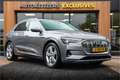 Audi e-tron e-tron 50 quattro Launch edition plus 71 kWh Panod Grau - thumbnail 1
