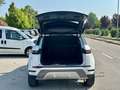 Land Rover Range Rover Evoque AUTOCARRO 5 POSTI 2.0d i4 mhev SE awd 163cv auto Bianco - thumbnail 10