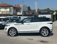 Land Rover Range Rover Evoque AUTOCARRO 5 POSTI 2.0d i4 mhev SE awd 163cv auto Bianco - thumbnail 12