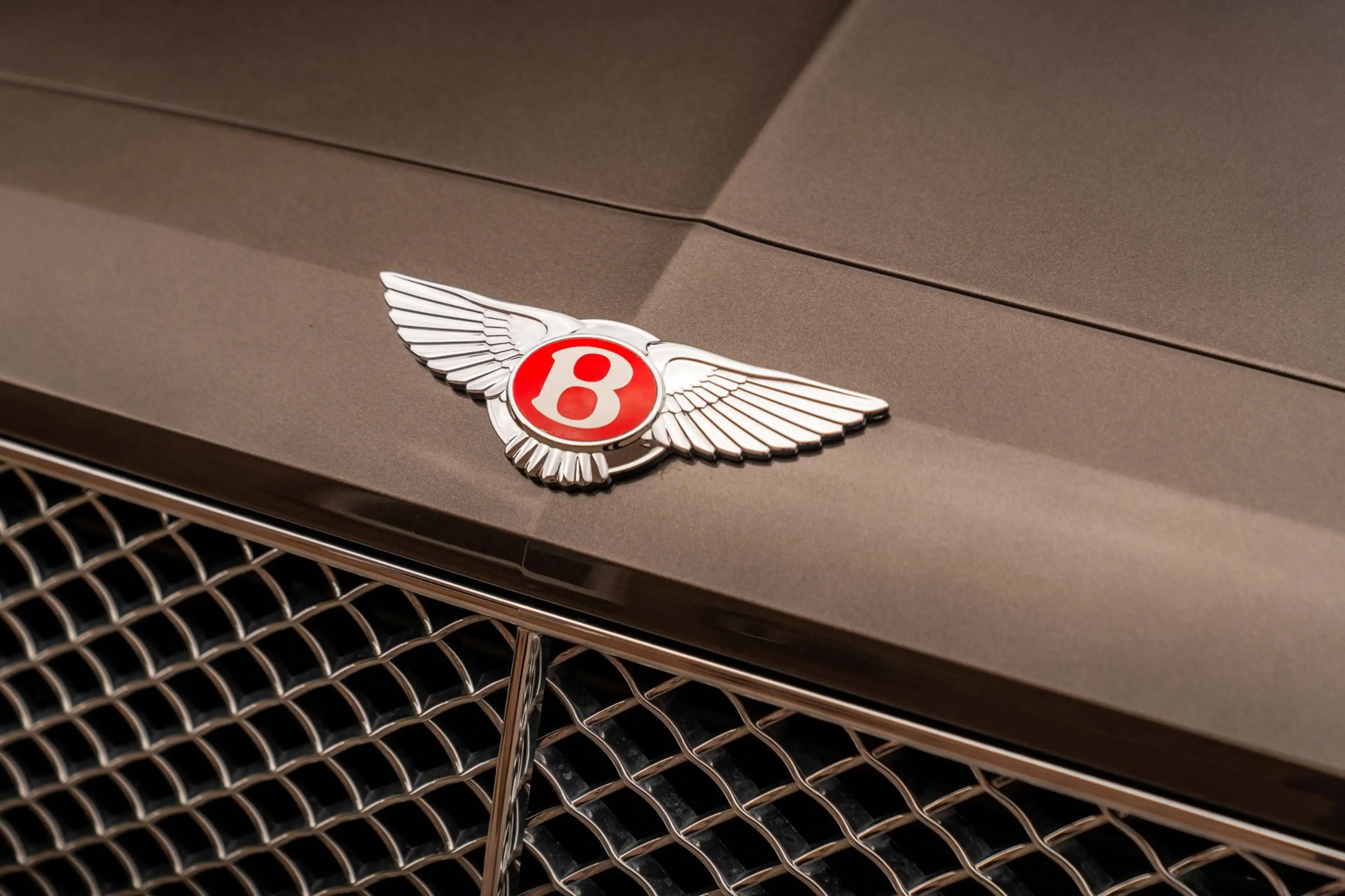 Bentley Flying Spur 4.0 V8 507 PK | Massage | Softclose | Schuifdak | — photo 49