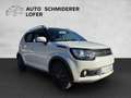 Suzuki Ignis 1,2 Shine Weiß - thumbnail 7