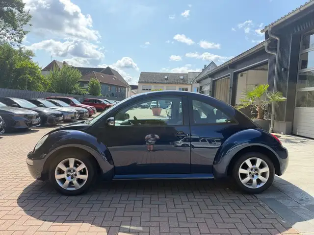Volkswagen Beetle view 8