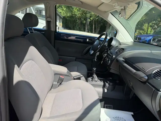 Volkswagen Beetle view 15