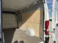 Opel Movano L4H2 2.2 BlueHDi 140 S&S Cargo Edition 3... Weiß - thumbnail 11