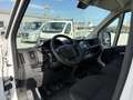 Opel Movano L4H2 2.2 BlueHDi 140 S&S Cargo Edition 3... Weiß - thumbnail 6