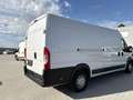 Opel Movano L4H2 2.2 BlueHDi 140 S&S Cargo Edition 3... Weiß - thumbnail 3