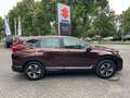 Honda CR-V 1.5 T Comfort LED KLIMA SPUR ACC ABN. AHK Braun - thumbnail 4