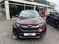 Honda CR-V 1.5 T Comfort LED KLIMA SPUR ACC ABN. AHK Braun - thumbnail 2