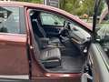 Honda CR-V 1.5 T Comfort LED KLIMA SPUR ACC ABN. AHK Braun - thumbnail 12