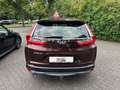 Honda CR-V 1.5 T Comfort LED KLIMA SPUR ACC ABN. AHK Braun - thumbnail 6