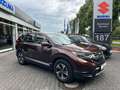 Honda CR-V 1.5 T Comfort LED KLIMA SPUR ACC ABN. AHK Braun - thumbnail 3