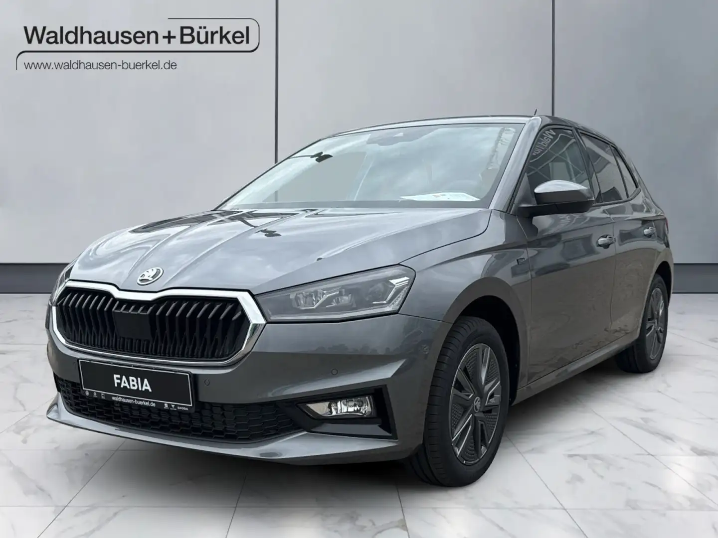 Skoda Fabia 1.0 TSI Tour *LED *Rückfahrkamera Klima Gris - 1