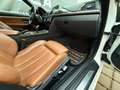 BMW 430 d M Sport F33 N57 Cabrio Weiß - thumbnail 25