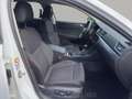 Skoda Superb Combi Style 2.0 TDI,NAVI,ACC,LED,1.Hand Weiß - thumbnail 21