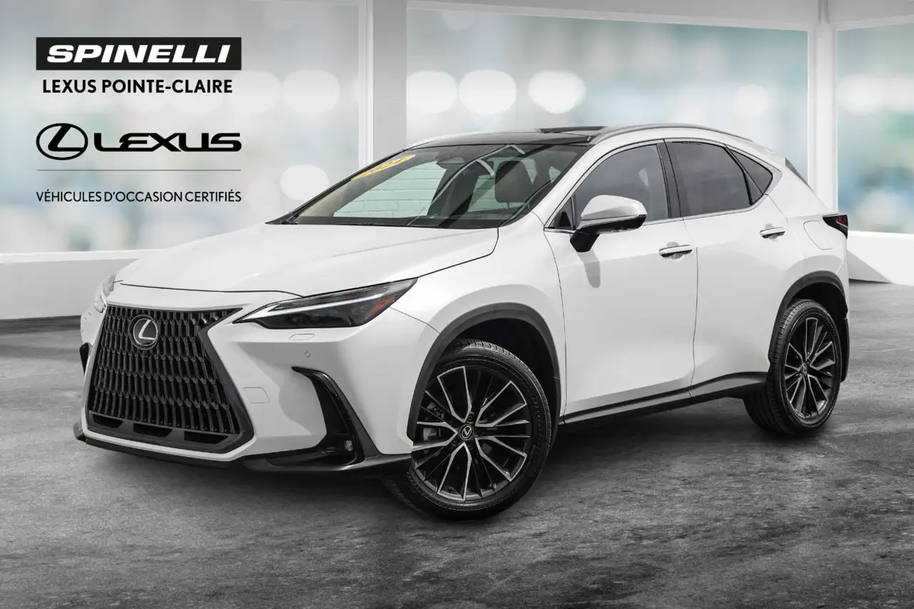 2024 Lexus NX