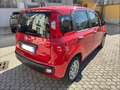 Fiat Panda Panda 1.0 firefly hybrid Rosso - thumbnail 2