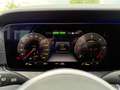 Mercedes-Benz E 300 de,AMG,Wide,Memory,Keyless,Distr,360.3,49% Schwarz - thumbnail 46