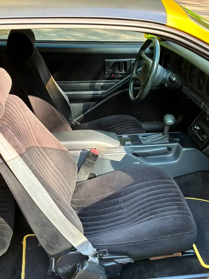 Pontiac Firebird Formula 5.0L V8 (305CUin) LG4, foto 12