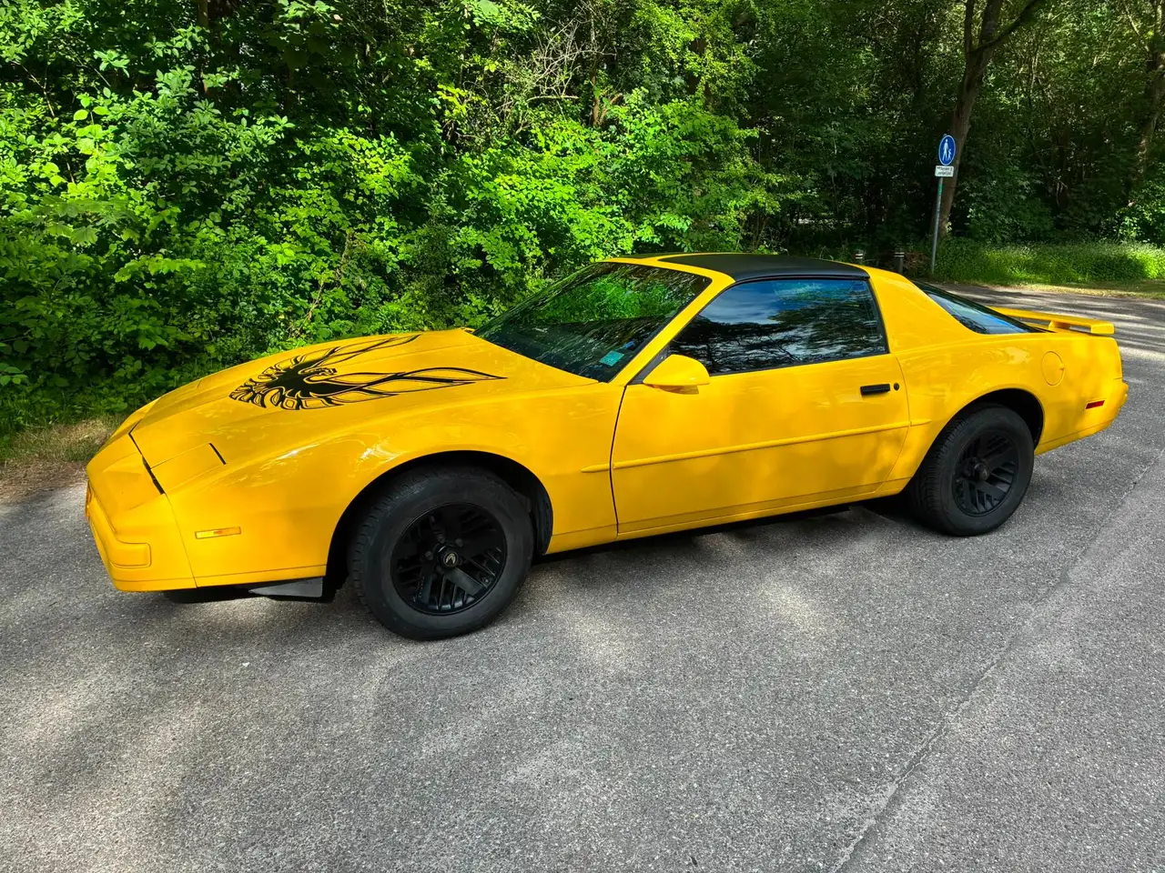 Pontiac Firebird Formula 5.0L V8 (305CUin) LG4, foto 3