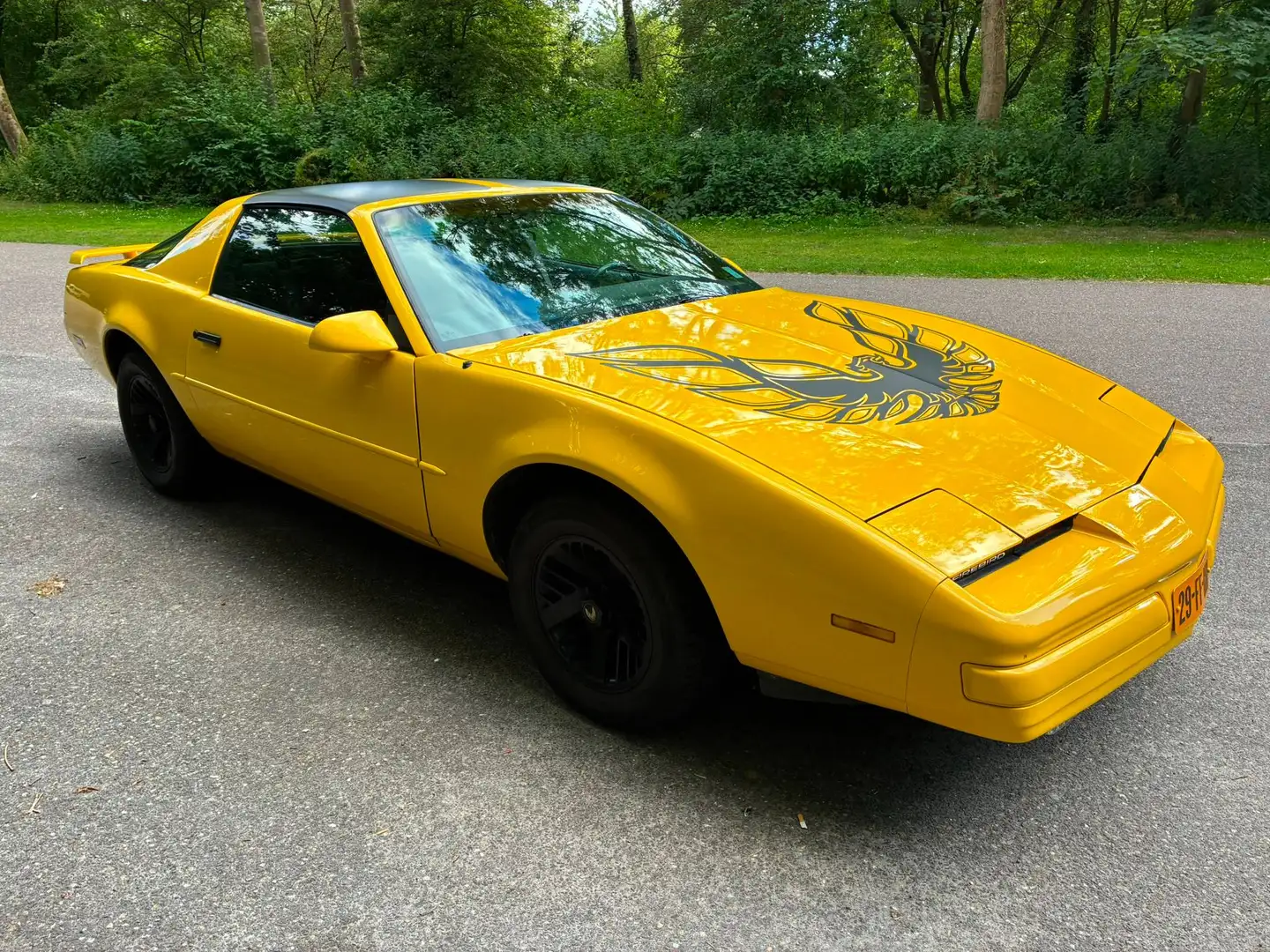 Pontiac Firebird Formula 5.0L V8 (305CUin) LG4 Gelb - 1