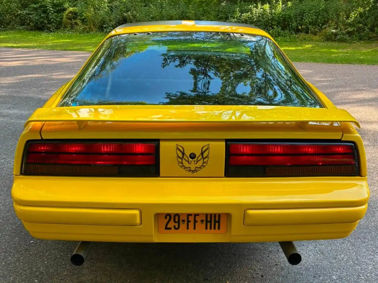 Pontiac Firebird Formula 5.0L V8 (305CUin) LG4, foto 5