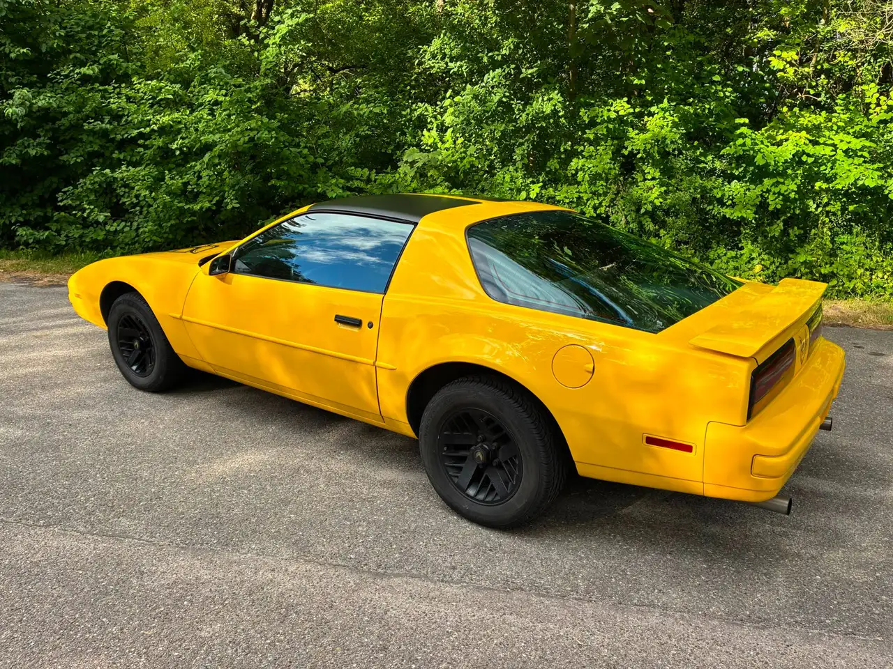 Pontiac Firebird Formula 5.0L V8 (305CUin) LG4, foto 4