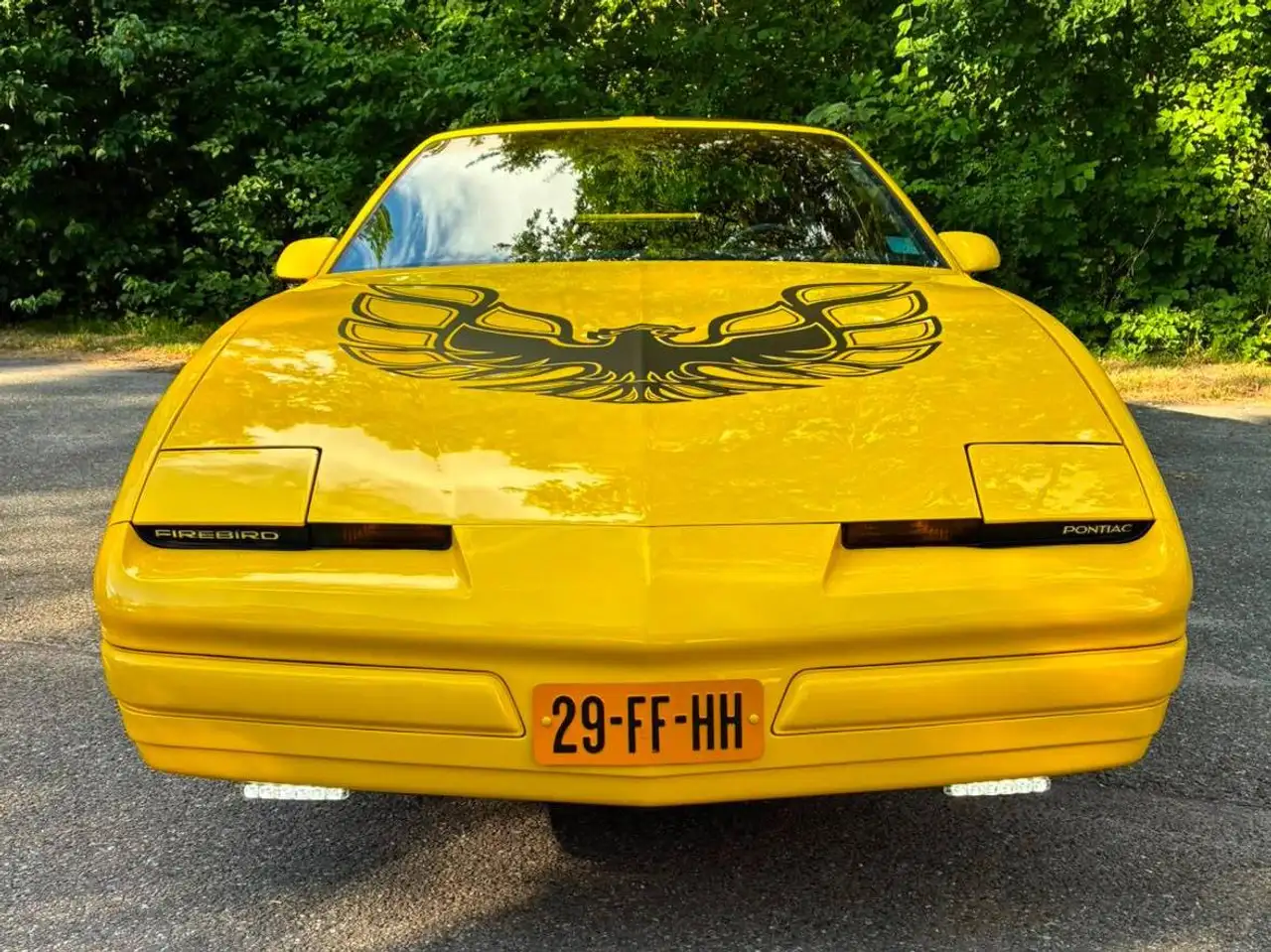 Pontiac Firebird Formula 5.0L V8 (305CUin) LG4, foto 6