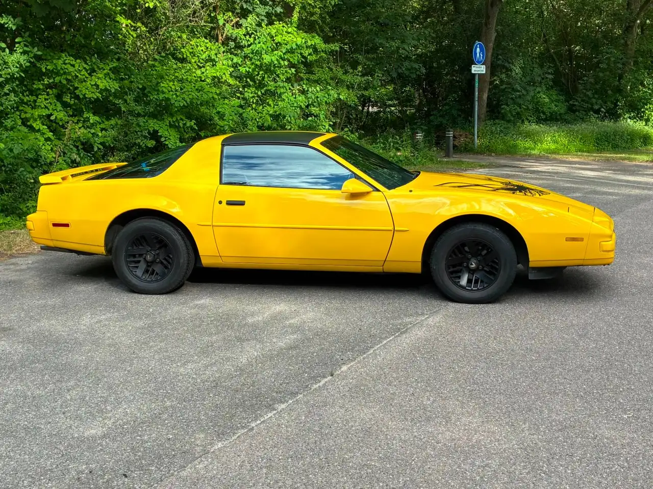 Pontiac Firebird Formula 5.0L V8 (305CUin) LG4, foto 2