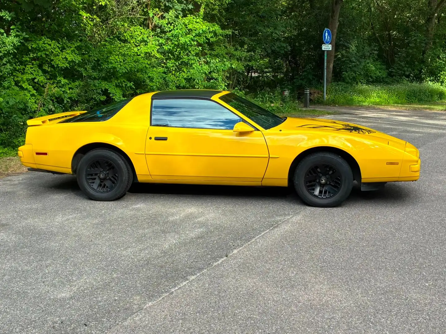 Pontiac Firebird Formula 5.0L V8 (305CUin) LG4 Gelb - 2