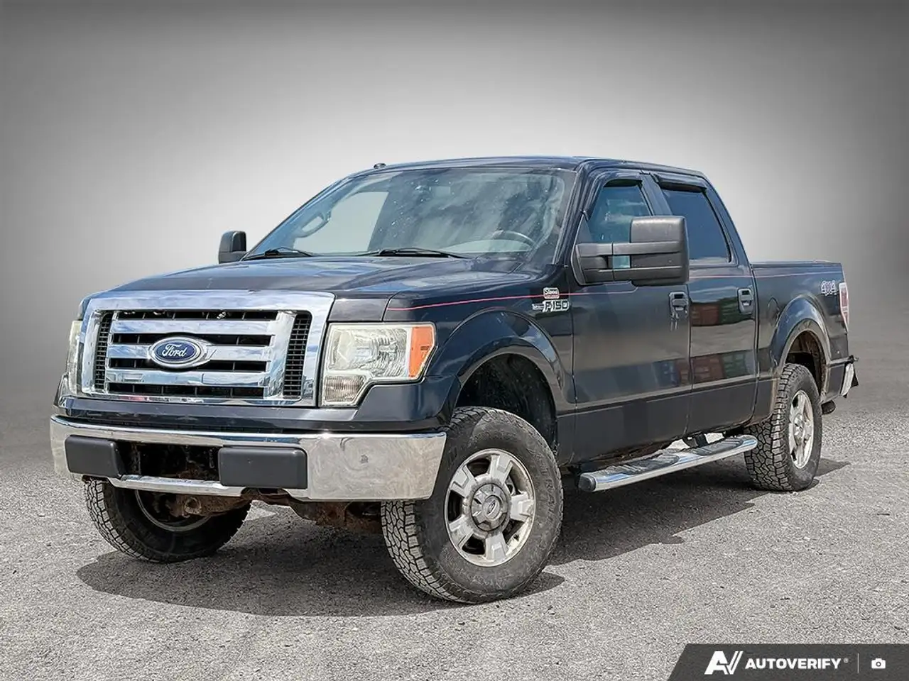 2010 Ford F 150