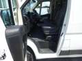 Citroen Jumper 30 110 FAP L2H1 Nur 82590km Kasten KD NEU Blanco - thumbnail 13