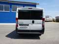 Citroen Jumper 30 110 FAP L2H1 Nur 82590km Kasten KD NEU Blanco - thumbnail 4