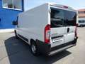 Citroen Jumper 30 110 FAP L2H1 Nur 82590km Kasten KD NEU Blanco - thumbnail 3