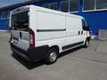 Citroen Jumper 30 110 FAP L2H1 Nur 82590km Kasten KD NEU Blanco - thumbnail 5
