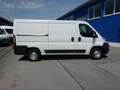 Citroen Jumper 30 110 FAP L2H1 Nur 82590km Kasten KD NEU Blanco - thumbnail 6