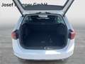 Volkswagen Passat Variant Elegance TDI DSG Weiß - thumbnail 12