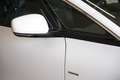 Renault Scenic 1.6 dCi Energy Bose Bianco - thumbnail 5
