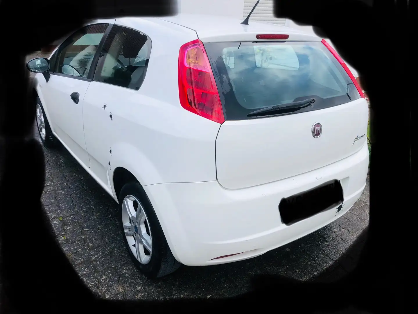 Fiat Grande Punto Grande Punto 1.2 8V Dynamic Weiß - 2