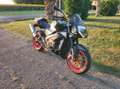 Aprilia Tuono Tuono R 1000 2003 Nero - thumbnail 2